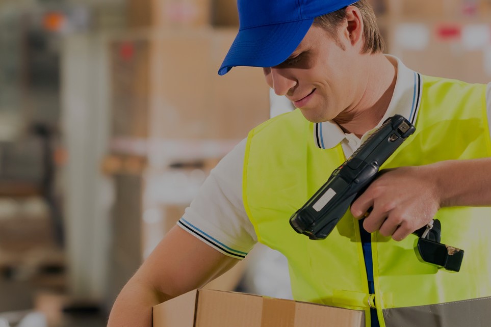 Lorem ipsum dolor sit amet, consectetur adipiscing elit. Aliquam sit amet diam sed velit malesuada mollis eget id felis. Nullam eget est vitae nibh molestie volutpat. Nullam porttitor in elit vitae semper.