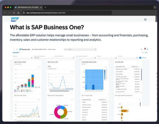 SAP Business One
