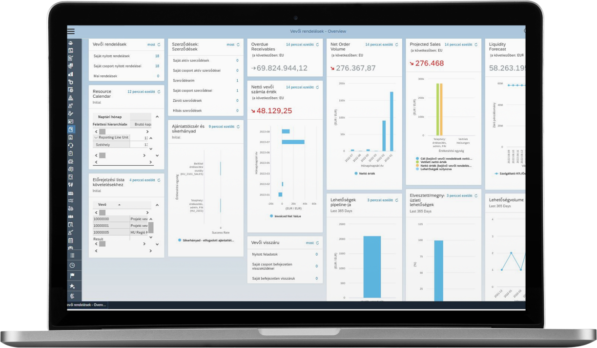 SAP Buisness ByDesign screen